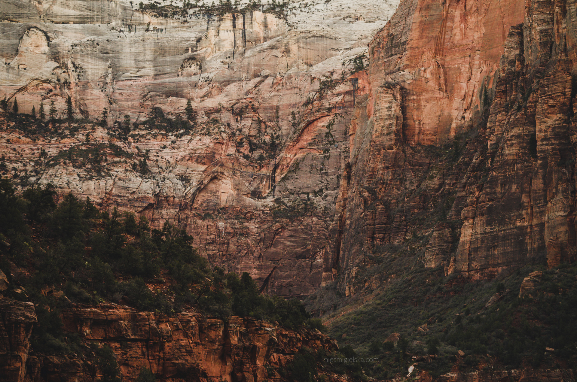 zion national park