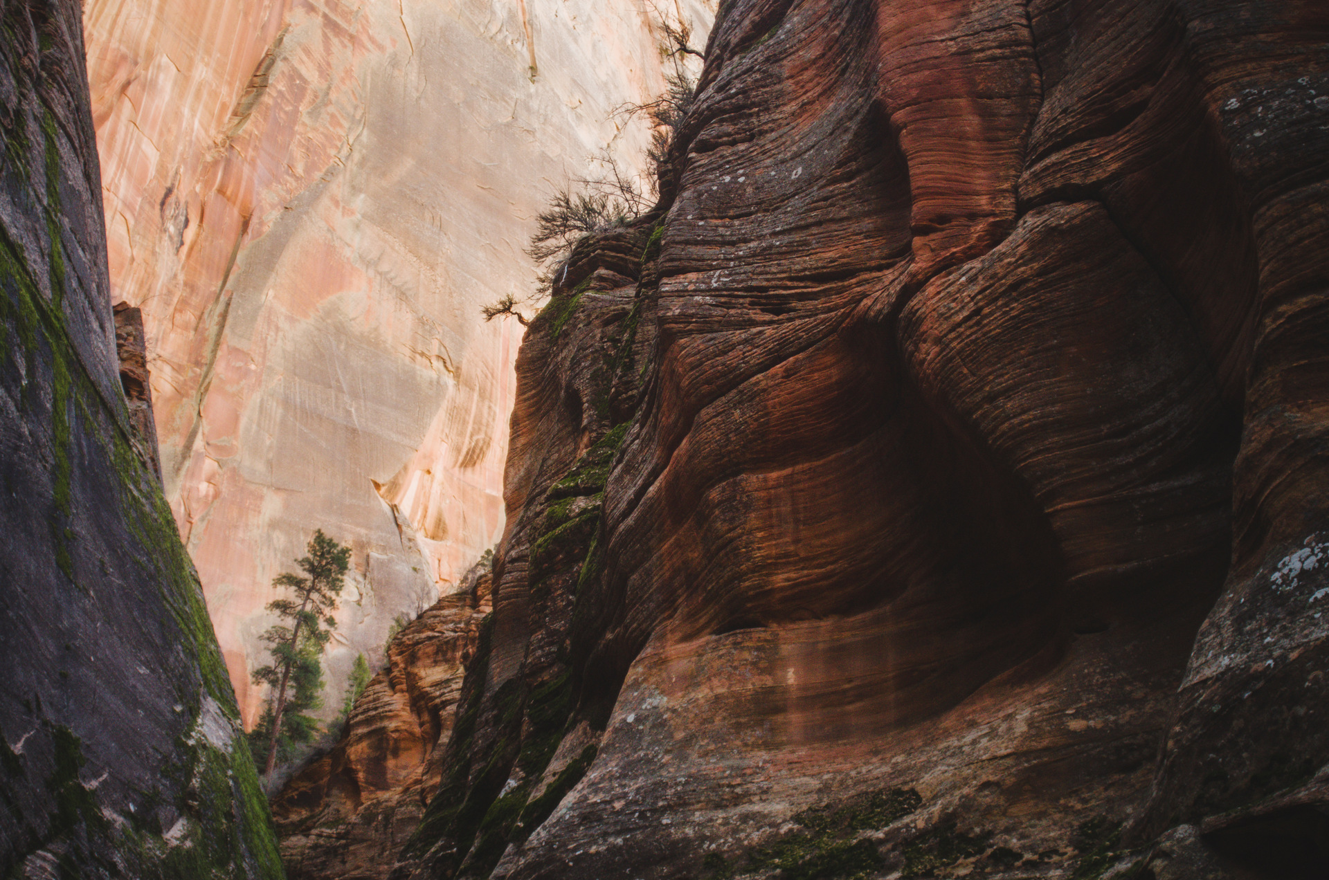 zion national park