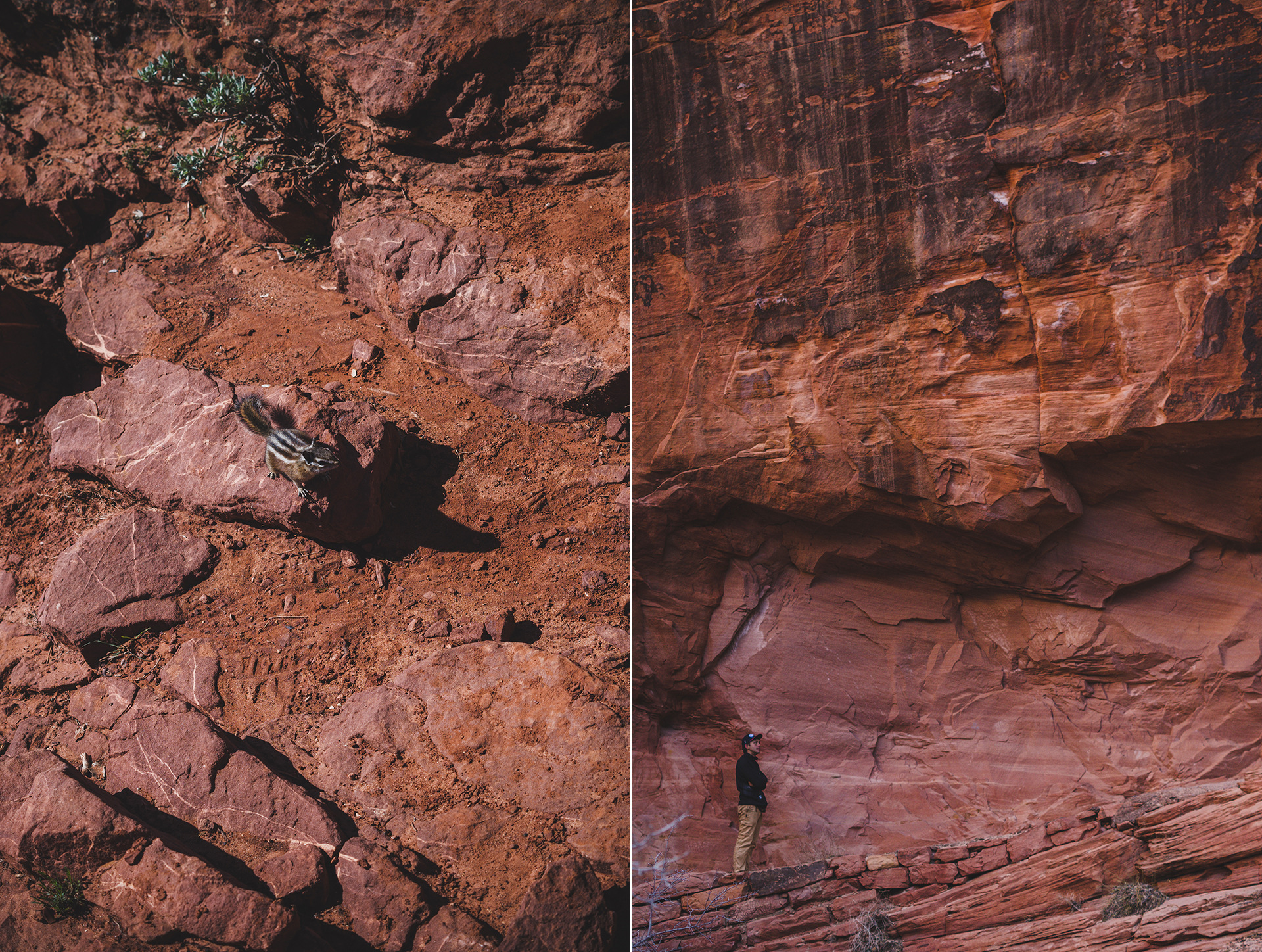zion national park