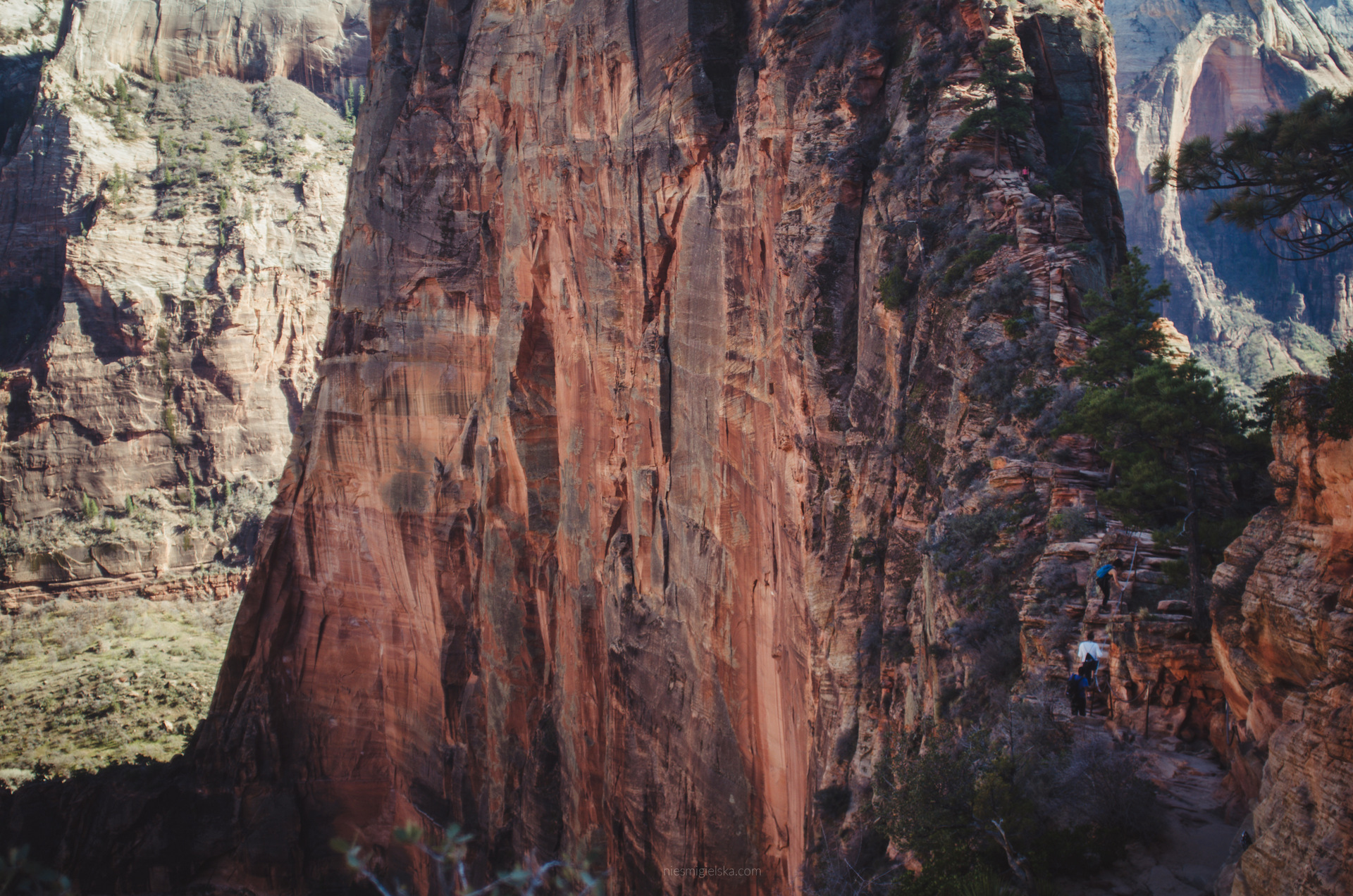 zion national park