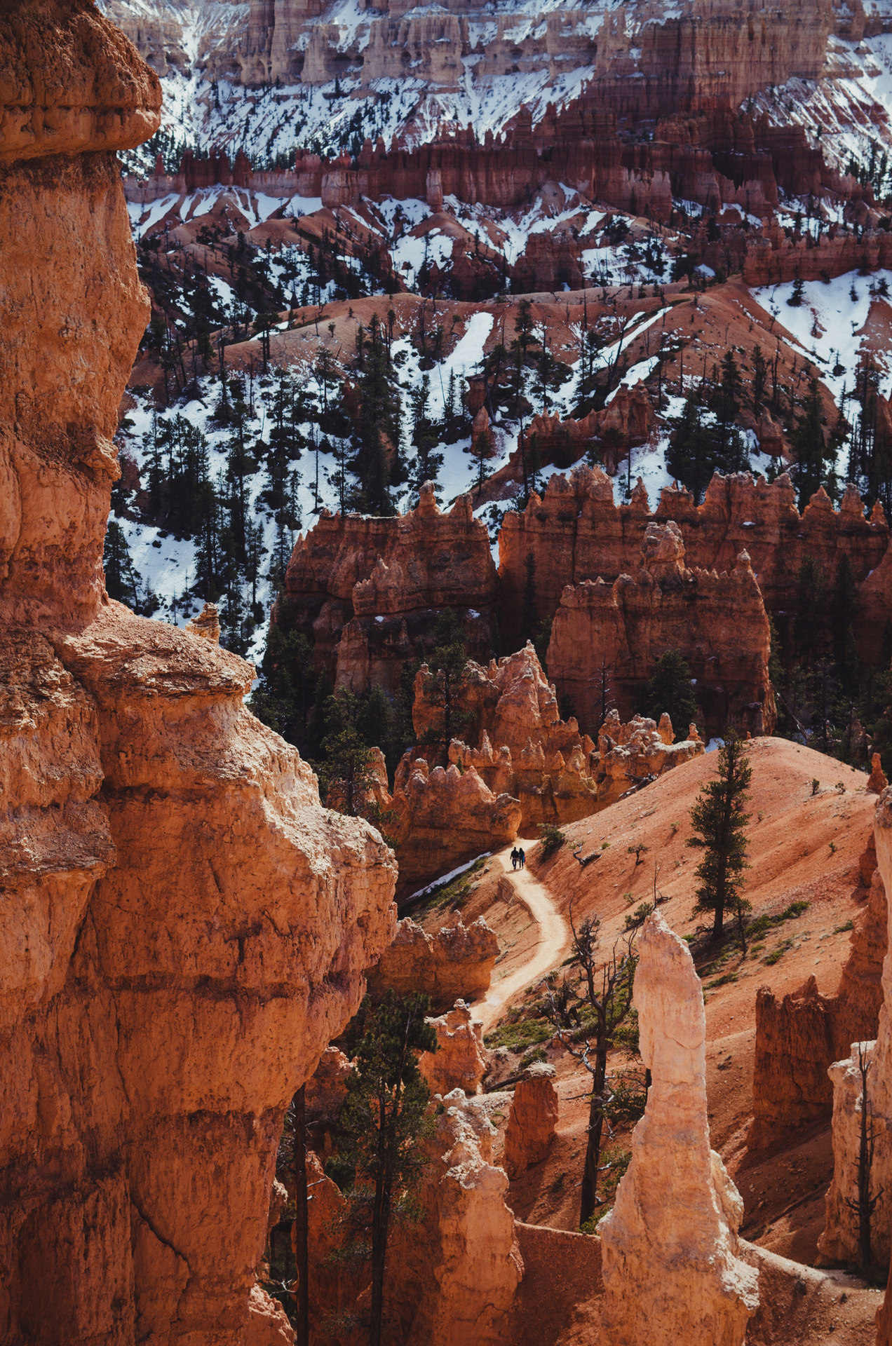 bryce canyon national park